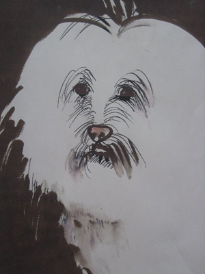 Portrait of Dog